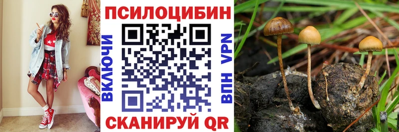 Галлюциногенные грибы Magic Shrooms  где можно купить наркотик  kraken рабочий сайт  Велиж 