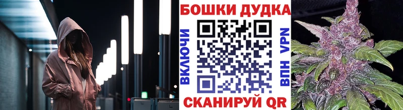 наркотики  Велиж  Конопля план 